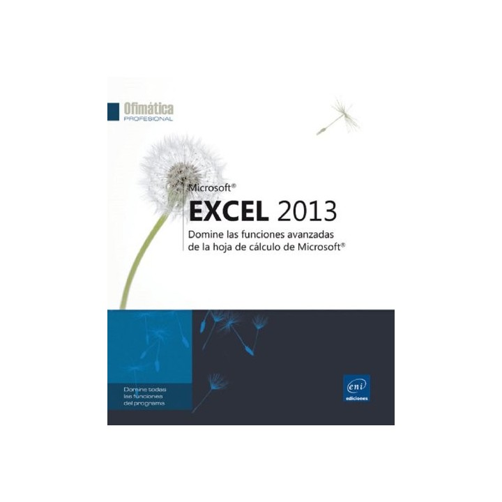 Microsoft Excel 2013. Domine las funciones avanzadas de la hoja de cálculo de Microsoft